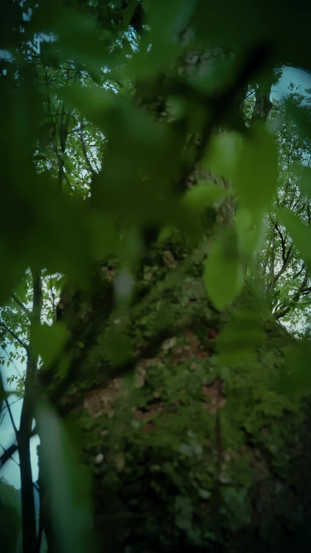 Episode 14 - Turunnya Dewa Nakal ke Dunia